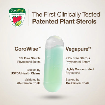 Cholesterol Control | Slow - Plant Sterols To Support Cardiovascular Health - Wellbeing Nutrition - 60 Capsules