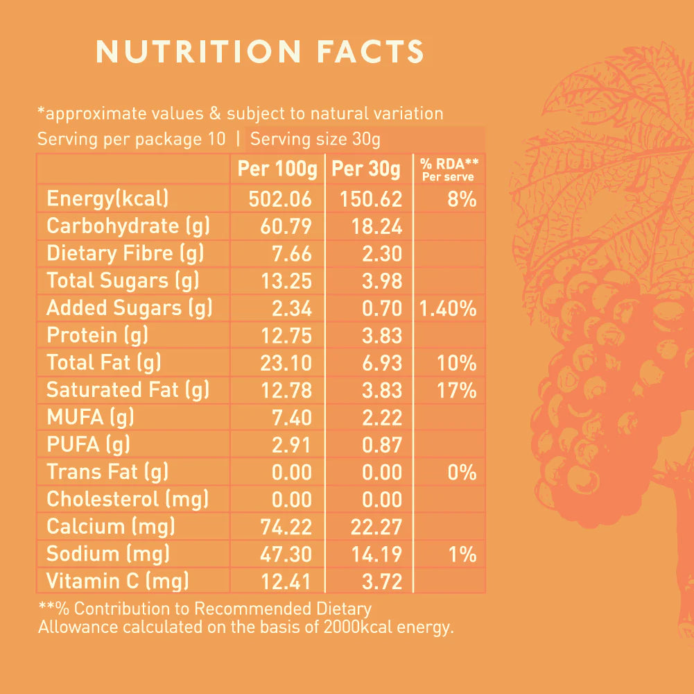 Oats Cinnamon Granola - High Protein, Rich In Fiber, Wheat Free, Fat Free &amp;amp; Lactose Free - Nourish Organics - 300gm