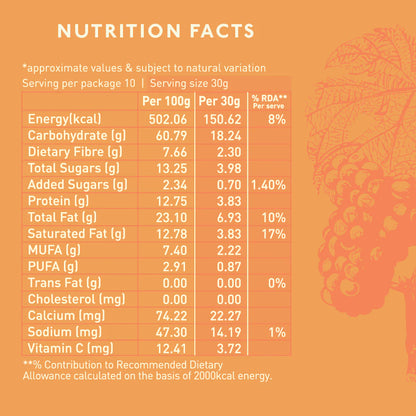 Oats Cinnamon Granola - High Protein, Rich In Fiber, Wheat Free, Fat Free &amp;amp; Lactose Free - Nourish Organics - 300gm