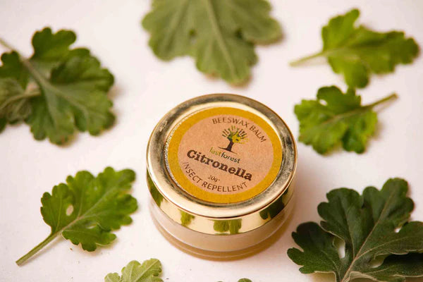 Balm Citronella - Last Forest - 20gm