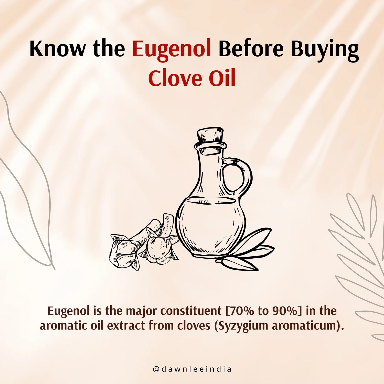 Clove Oil | Essential - High Oil Content For Toothache Relief - Lal Pari Laung Tel - High Eugenol Content &amp; Anti Inflammatory Properties - Anadi - Dawn Lee - 20ml