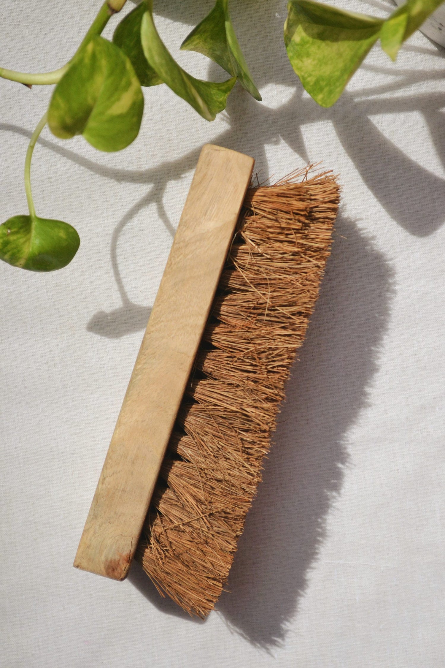 Coconut Fiber Floor/Laundry Scrubber – Almitra – 1Pc.
