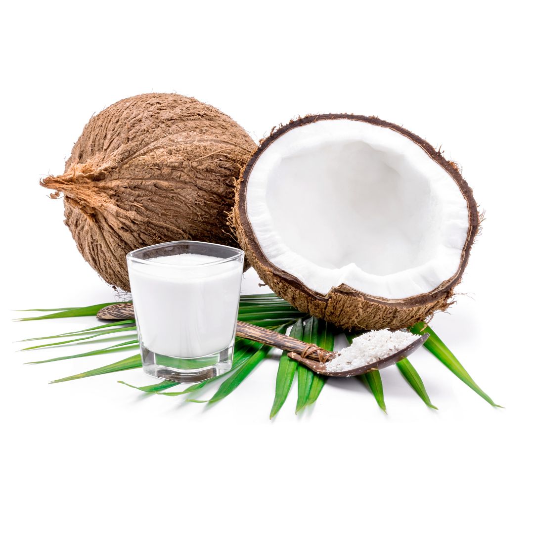 Coconut Milk | Fresh – Unsweetened – Vegan &amp; Gluten Free – For Drinking – Free From Stabilisers, Emulsifiers, Gums &amp; Preservatives – 300ml