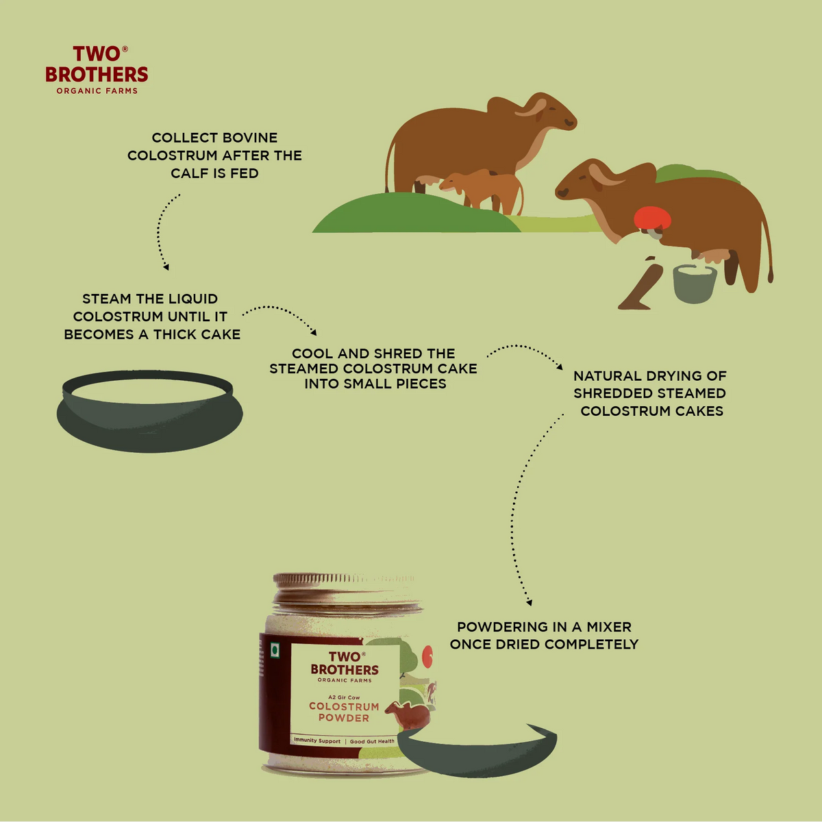 Colostrum Powder | Desi Gir Cow - Immunity Support, No Additives, Artificial Preservatives &amp;amp; No Synthetic Fillers Or Binders - Two Brothers - 100gm