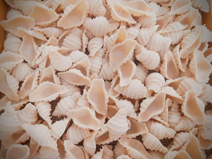 Conchiglie Whole wheat &amp;amp; Semolina Pasta – Donna Pastaia – 250gm