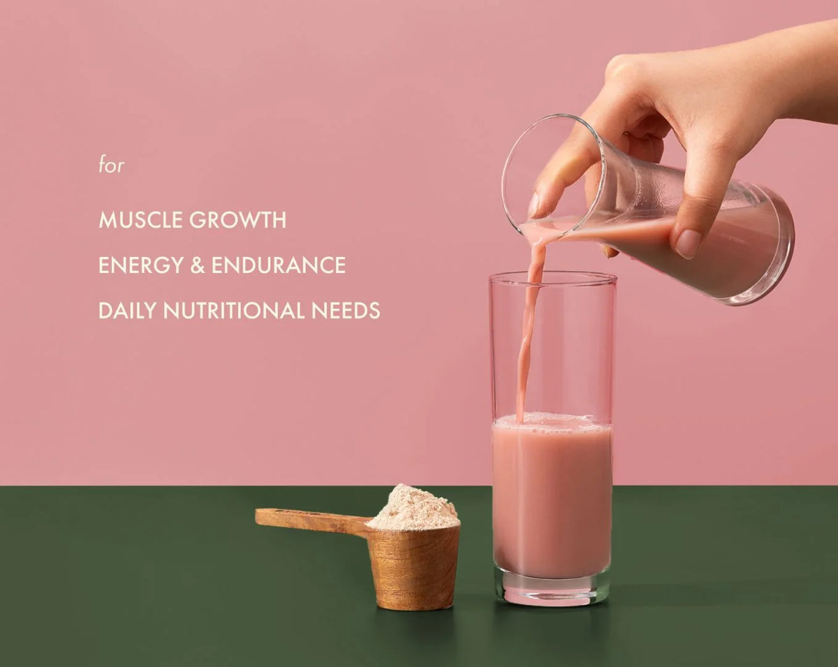 Protein Powder | Mahabaleshwar Strawberry Plant Protein (24gm Protein Per Serving) – No Nonsense - Gluten Free, Lactose Free, No Trans Fat, Soy Free, No Added Sugar, Artificial Flavors, No Gums &amp;amp; No Enzymes - Cosmix – 38gm