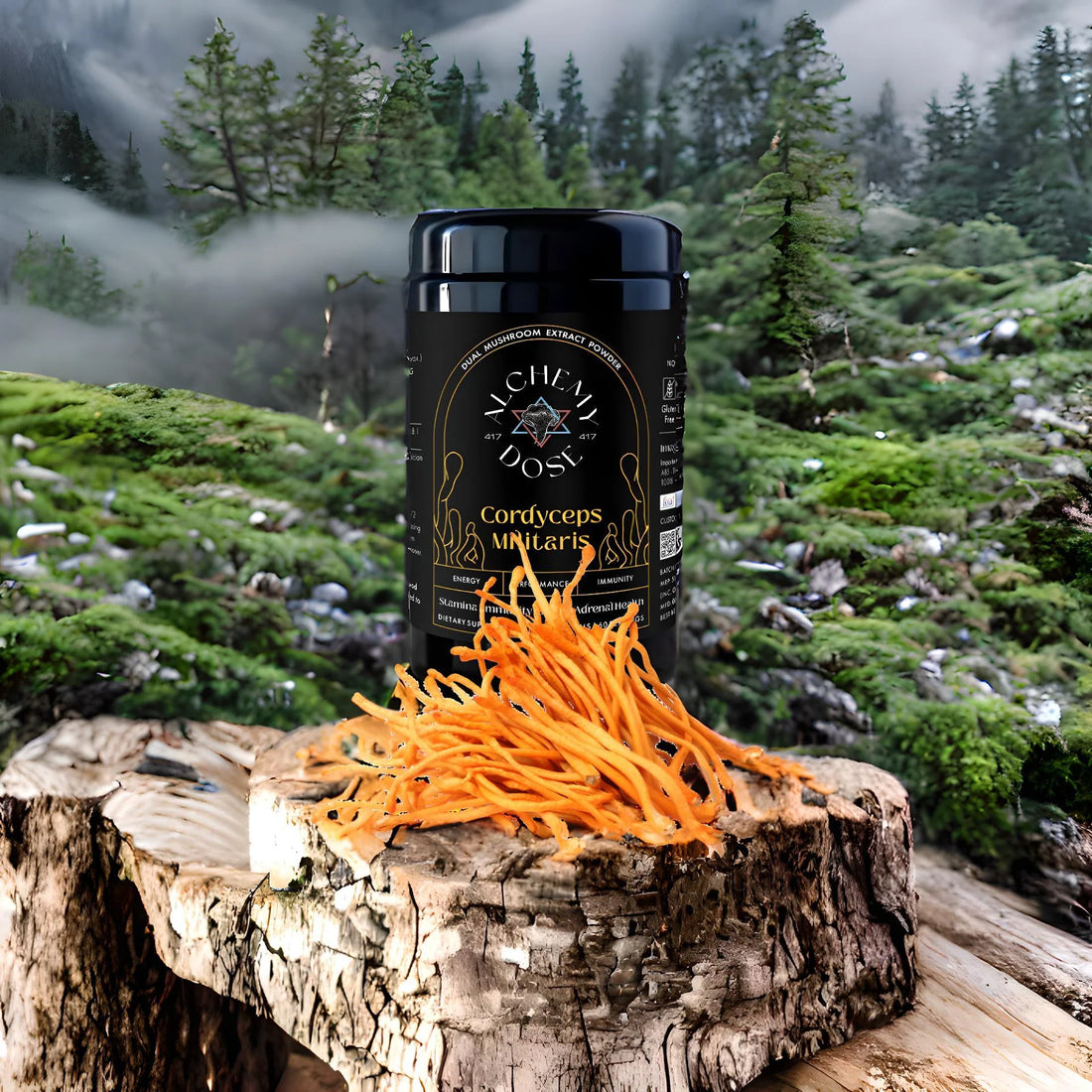 Cordyceps Militaris | Stamina, Immunity & Lipido – Vegan, Gluten Free, Dairy Free, Cholesterol Free, Soy Free & Peanut Free – Alchemy Dose – (30 Serving) – 30gm