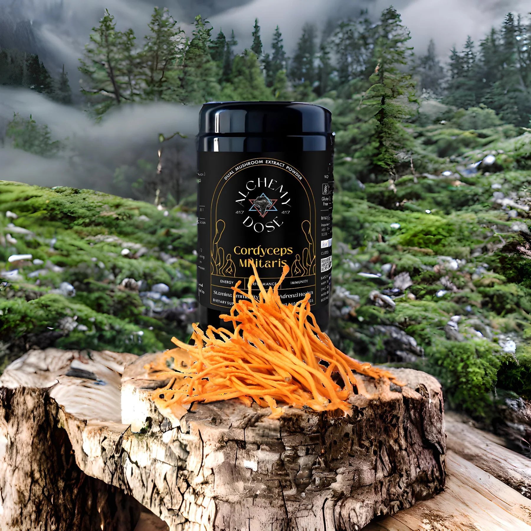 Cordyceps Militaris | Stamina, Immunity &amp;amp; Lipido – Vegan, Gluten Free, Dairy Free, Cholesterol Free, Soy Free &amp;amp; Peanut Free – Alchemy Dose – (30 Serving) – 30gm