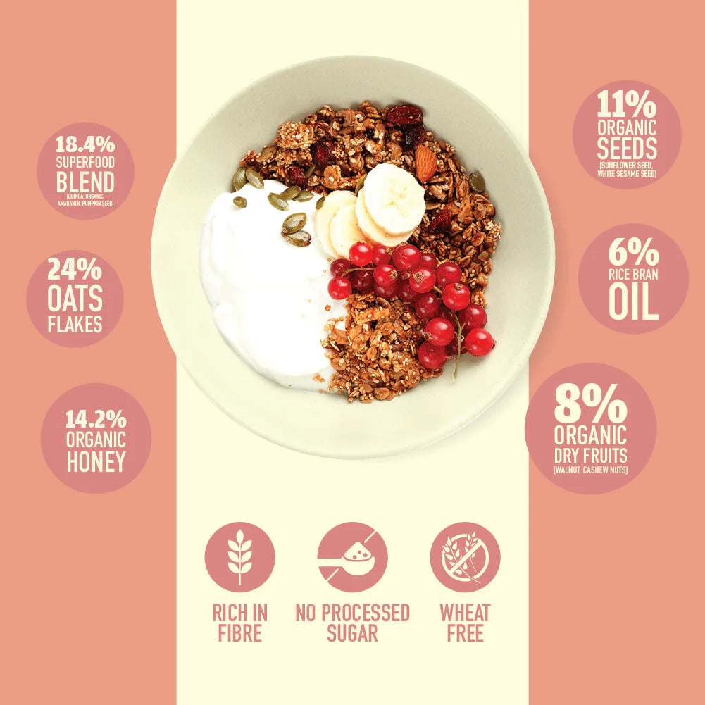Granola | Cranberry Super Grain Granola - High Protein, Rich In Fiber, Lactose Free &amp; Fat Free – Nourish Organics - 300gm