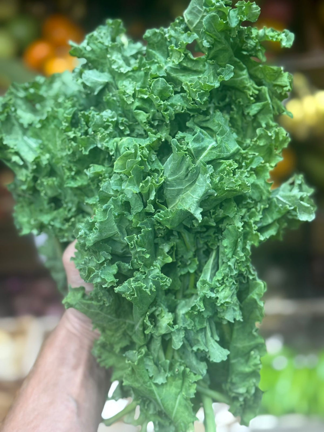 Kale | Curly Kale - 200gm packet