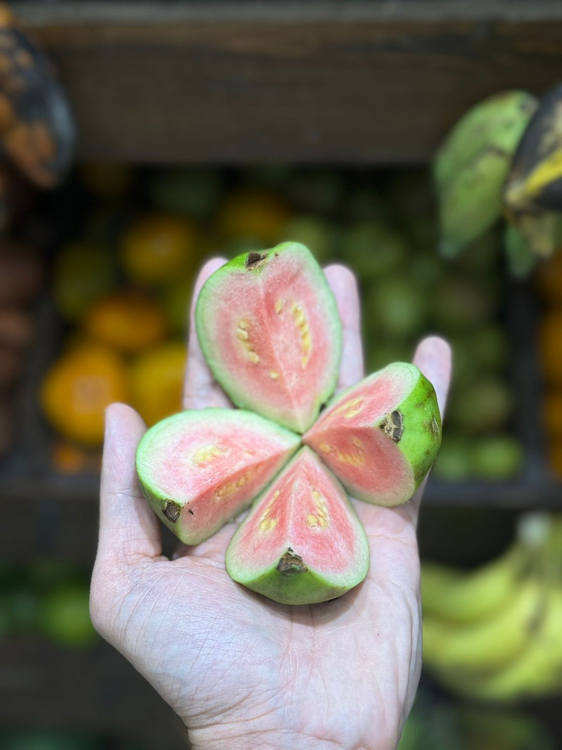 Guava | Desi Pink Guava (Pandharpur, Maharashtra) - Organically Grown