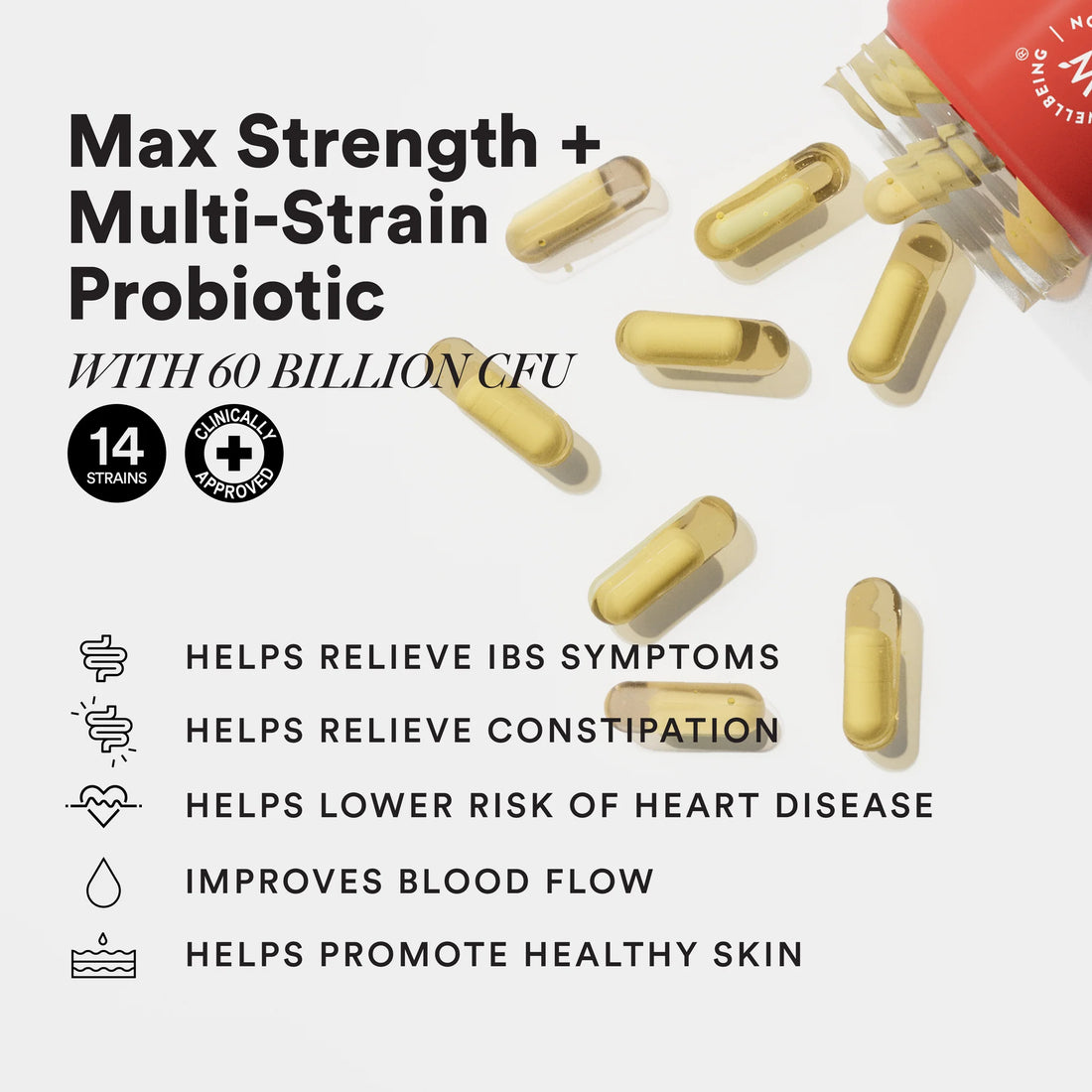 Daily Probiotic | Slow – Extra Strength - No Fillers, No Additives &amp; Non GMO – Wellbeing Nutrition – 60 Capsules