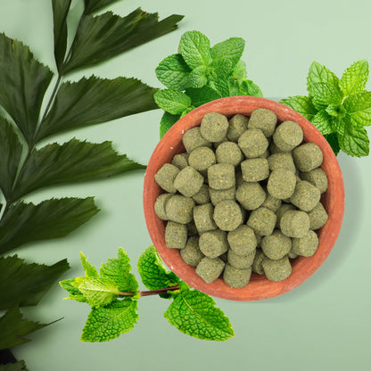 Digestive Pudina-Improves Digestion, Improves Immunity -No preservatives- Nutty Yogi 100gm