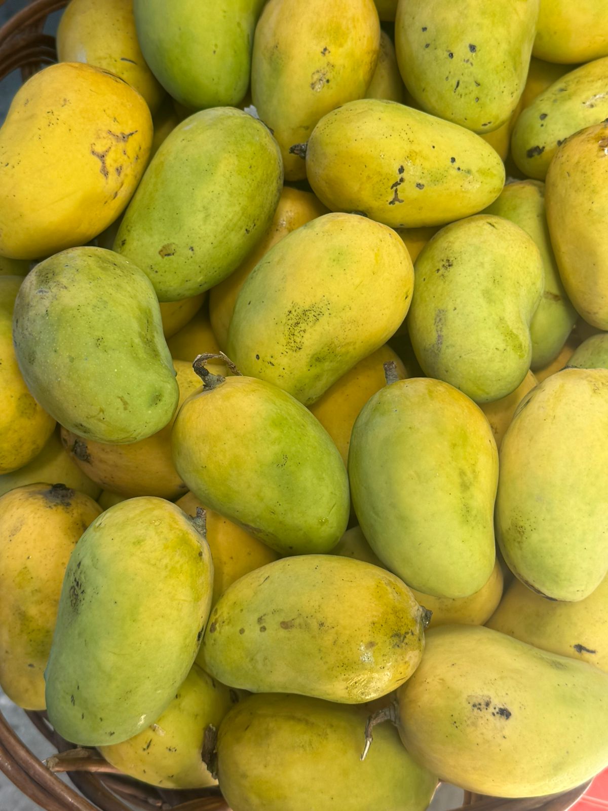 Mango | Dinga Mango (Chusne Wala Aam)- Organically Grown-Sucking Mango - Pesticide-Free &amp; Naturally Ripened