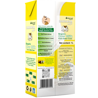 Cow Milk | Double Tonned Milk - USDA Organic – High In Vitamin A &amp; D And Calcium - No Antibiotic, No Stress Hormones, No Adulteration, No Contamination &amp;amp; Preservatives Free – Barsana Magic – 1000ml