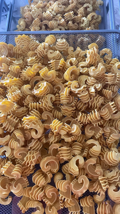 Pasta | Eggfree Semolina Radiatori (Semolina &amp;amp; Turmeric) - No Refined Flour - Our Pasta Lab - 250gm
