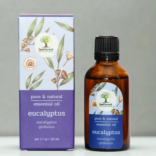 Oil | Eucalyptus Gloubulus (Heals Cold) - Therapeutic Essential Oil -Pure &amp; Natural Essential Oil -No preservatives- Last Forest - 100ml