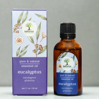 Oil | Eucalyptus Gloubulus (Heals Cold) - Therapeutic Essential Oil -Pure &amp; Natural Essential Oil -No preservatives- Last Forest - 100ml