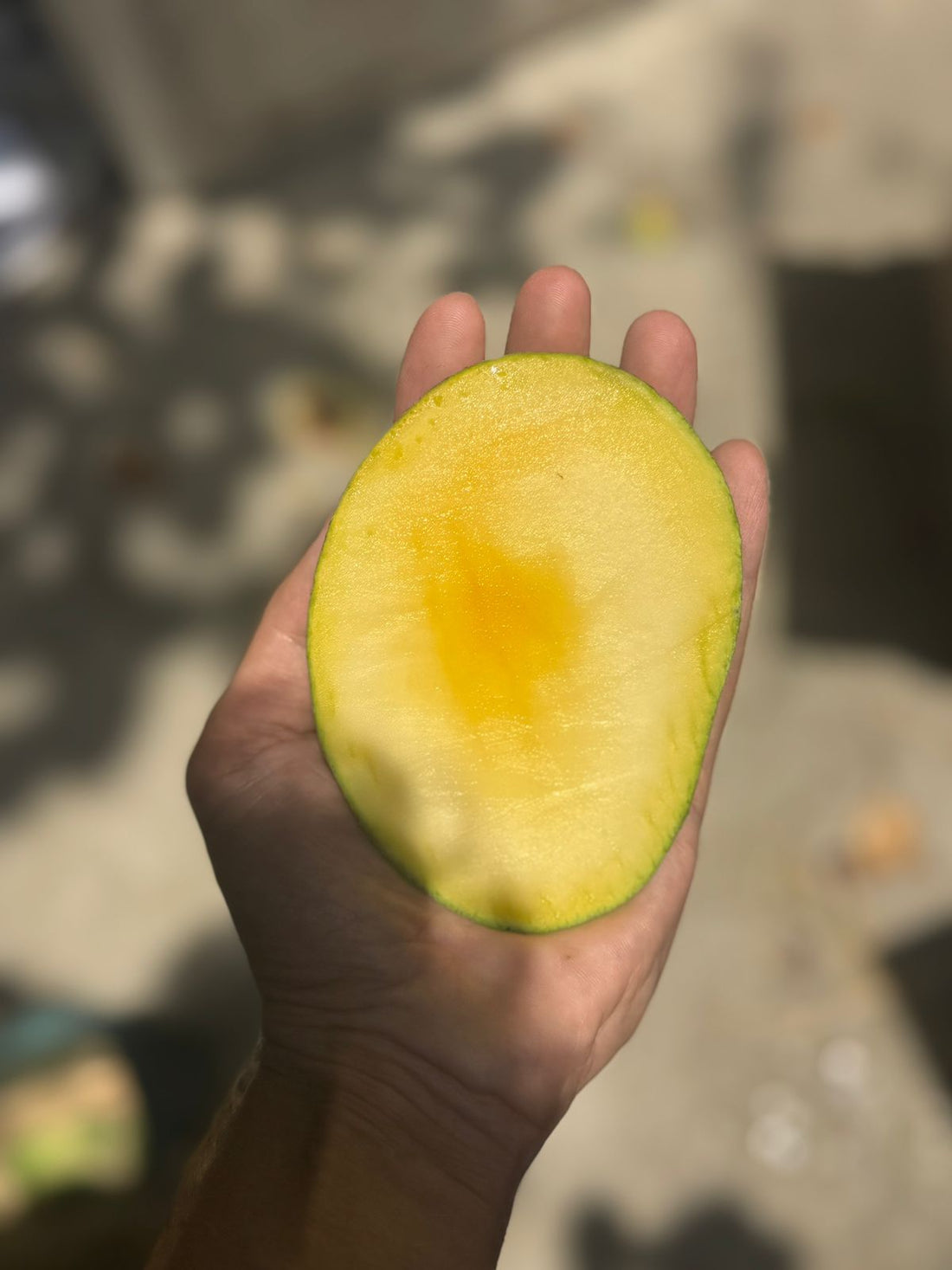 Mango | Fazli Mango (Bihar)- Organically Grown - Pesticide-Free &amp; Naturally Ripened-Certified Organic