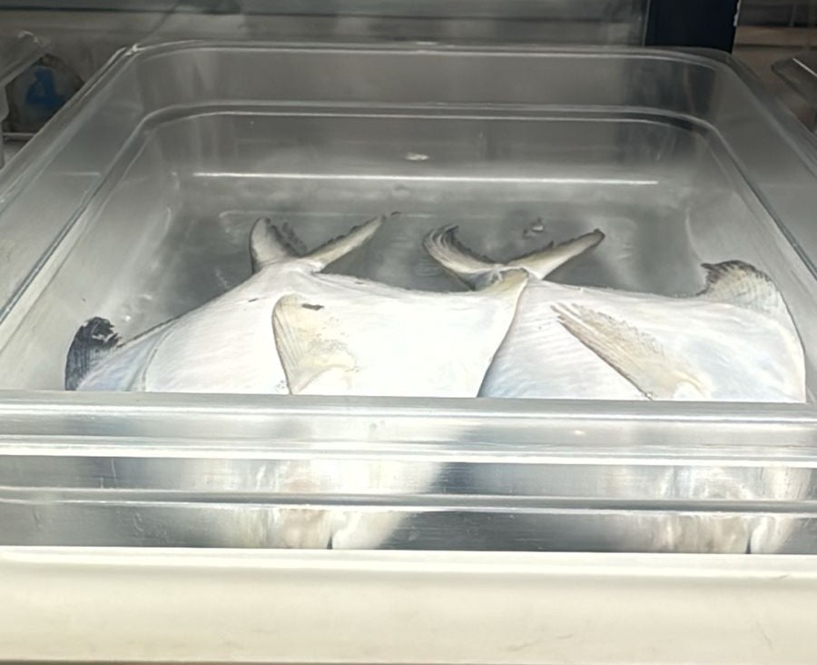 Fish| Fresh Wild Whole Pomfret Fish - Premium Sea Catch-Fresh Whole Sea Fish - Nature&