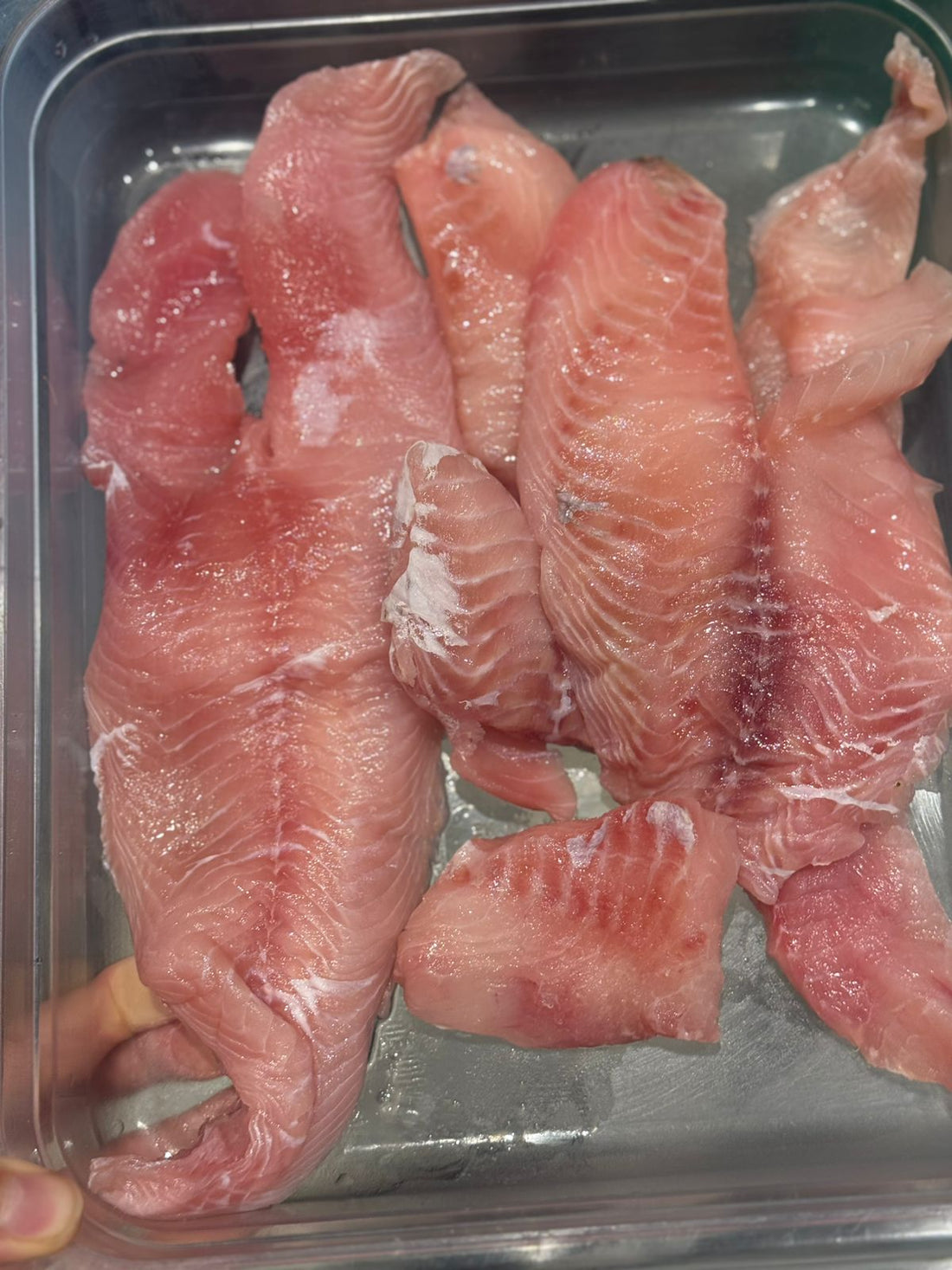 Fresh Fish| Tilapia Fish - River Tilapia Uttarakhand -Chemical-Free Himalayan Freshwater River Fish- Nature&