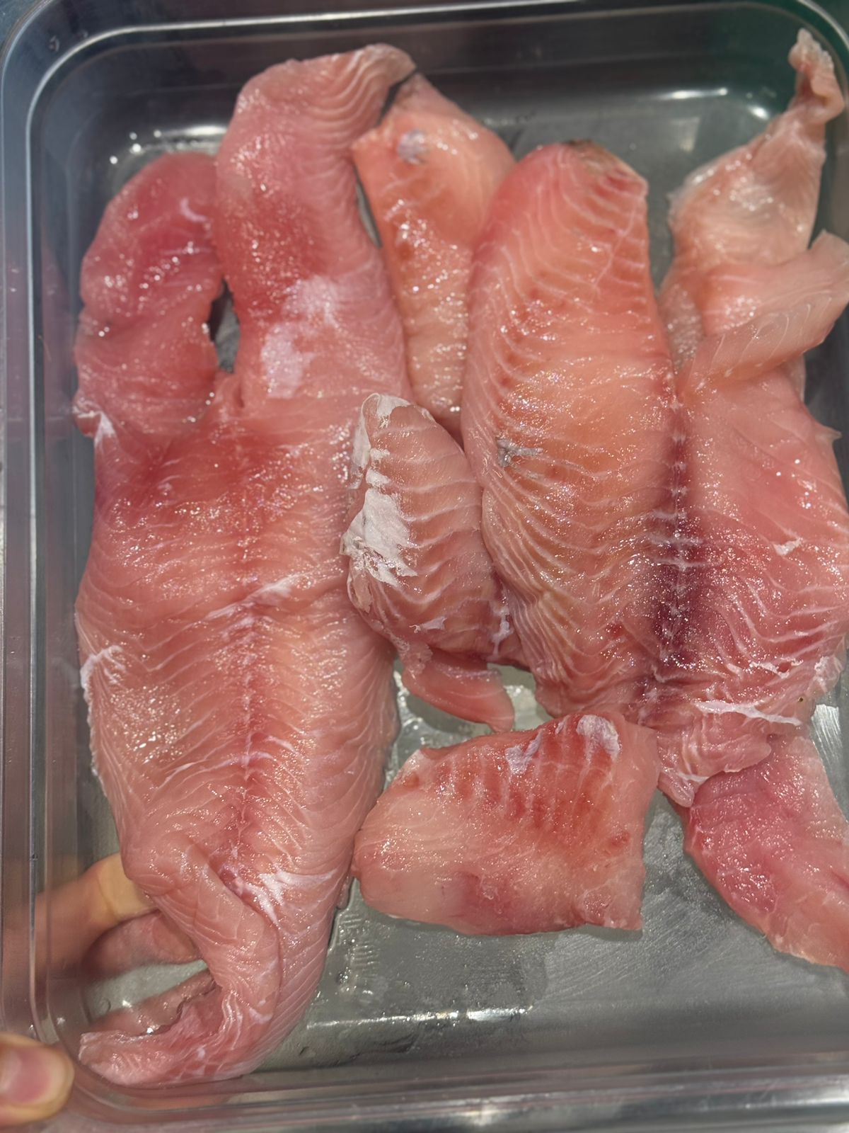 Fresh Fish| Tilapia Fish - River Tilapia Uttarakhand -Chemical-Free Himalayan Freshwater River Fish- Nature&