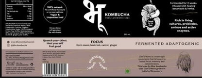 Focus Kombucha | (Beetroot, Carrot, Ginger &amp;amp; Lion&