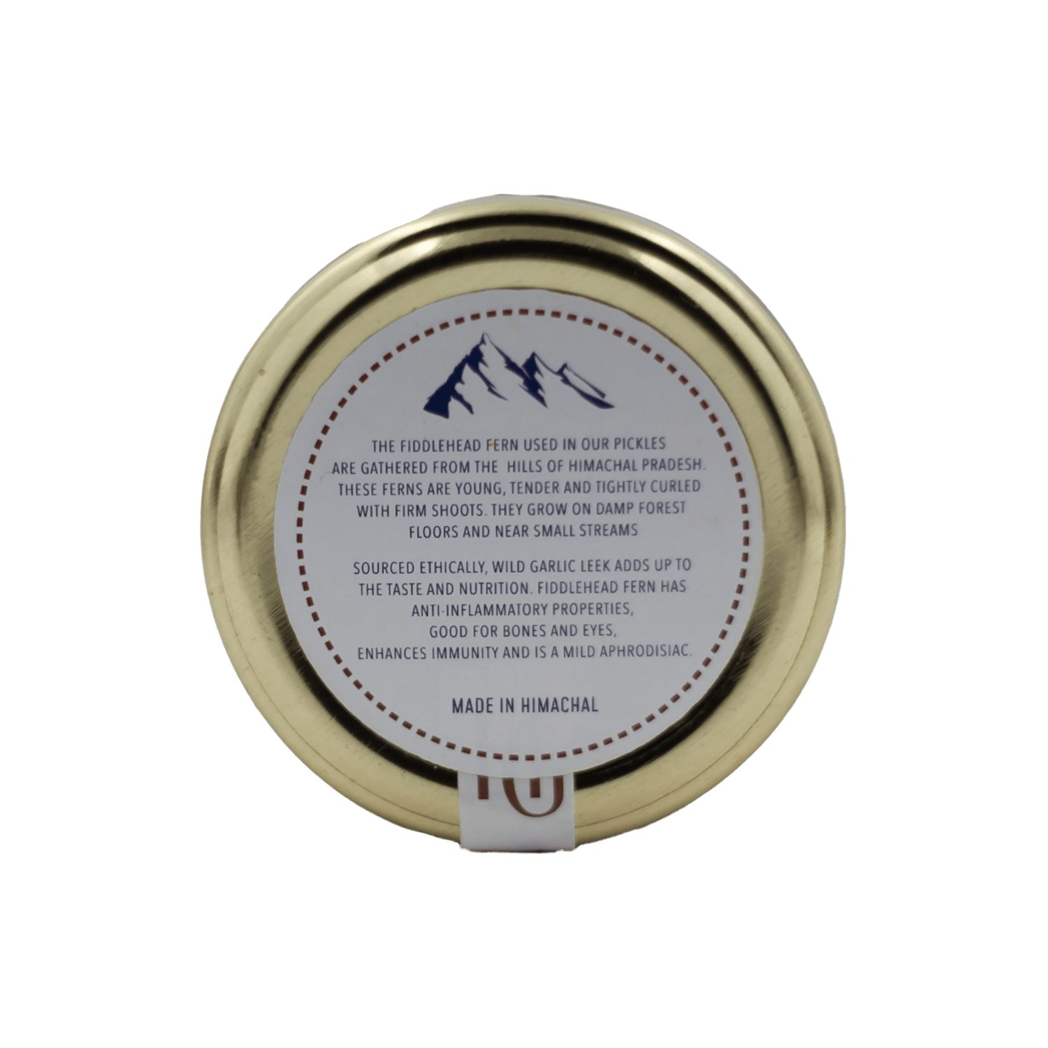 Forest Pickle – Himalayan Gatherer – 200gm