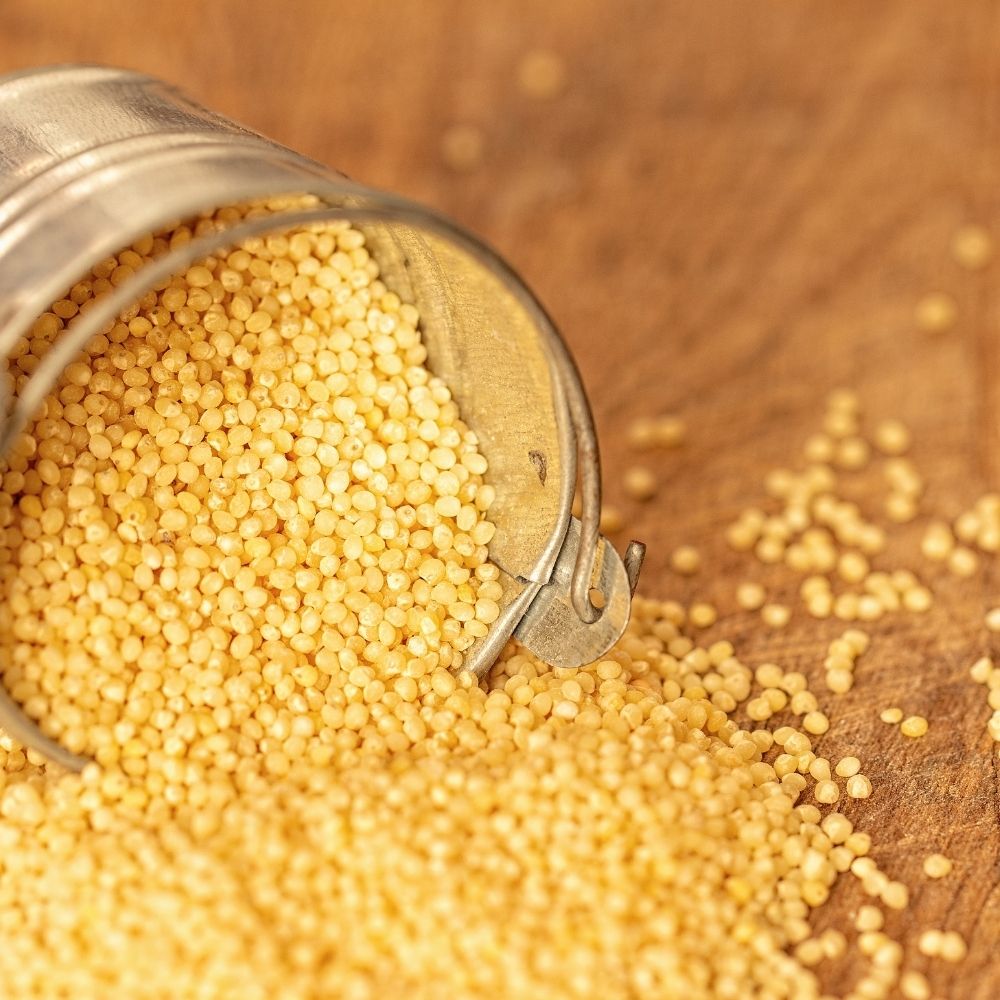 Foxtail Millet | (Kangni) - Organic - Just Organik - 500gm
