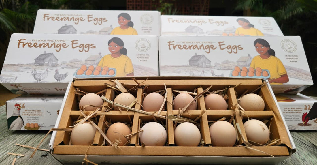 Eggs | Free Range Eggs – Cage Free, No Antibiotics & Hormone Free - The Backyard Farms - 12 Eggs