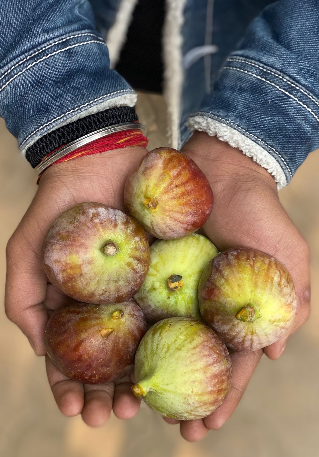 Fresh Figs – Box of 4