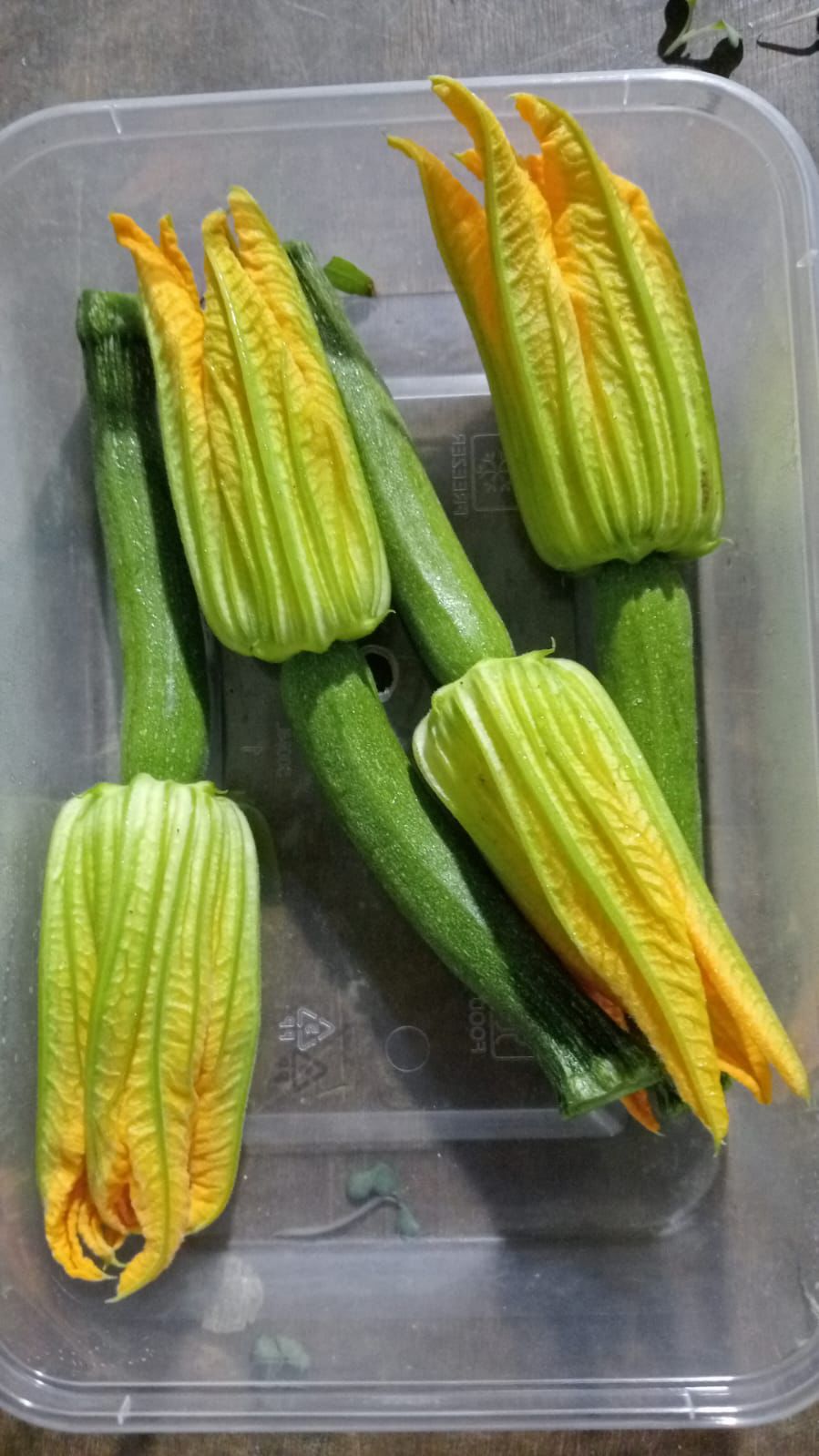 Fresh Edible  Zucchini Flowers with Baby Zucchini -Hand Picked Daily - 100% Organically Grown- Set of 4 Piece