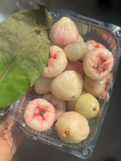 Apples | Fresh White Rose Apples - Naturally Grown in Satara, Maharashtra - 100% Natural &amp; Pesticide-Free- Farm Fresh