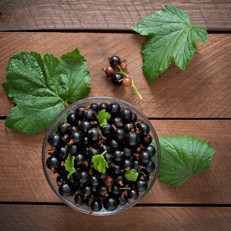 Frozen Black Currant | (No Added Sugar) - 500gm