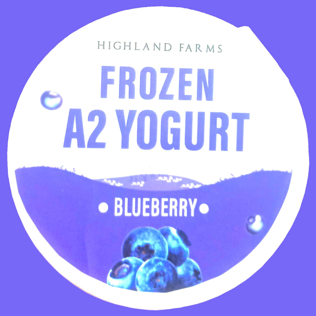 Yogurt | Frozen A2 Milk Yogurt (Blueberry) – Made With A2 Cow Milk – No Added Preservatives & No Artificial Flavour Or Colours – Highland Farms – 120gm
