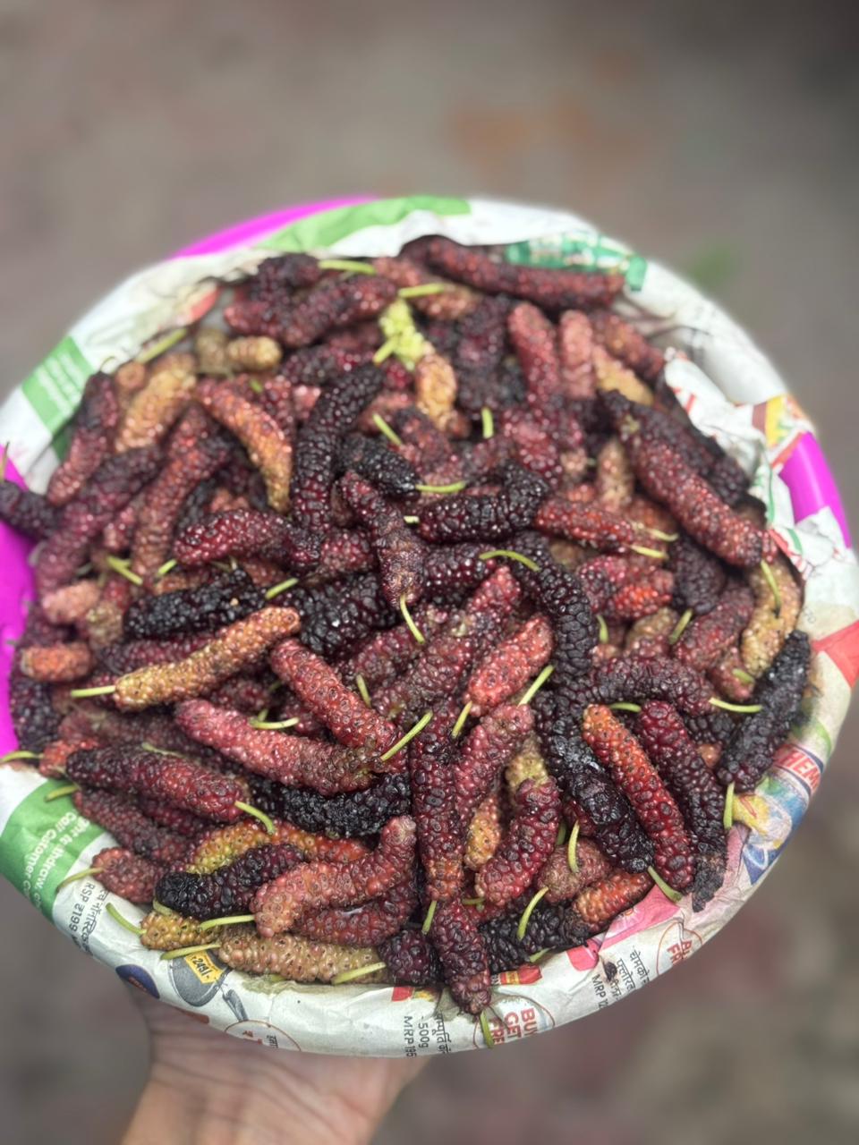 Mulberry | (Shahtoot) - Pune - Organically Grown - Pesticide Free &amp; Chemical Free - 170gm