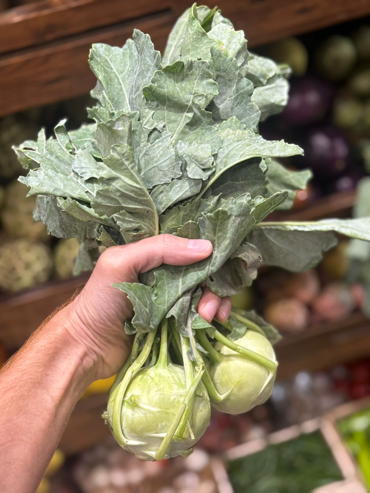 Gaanth Gobi (Knol Khol) | Sonipat &amp; Poanta Sahib - High In Fiber &amp; Vitamin C - Certified Organic