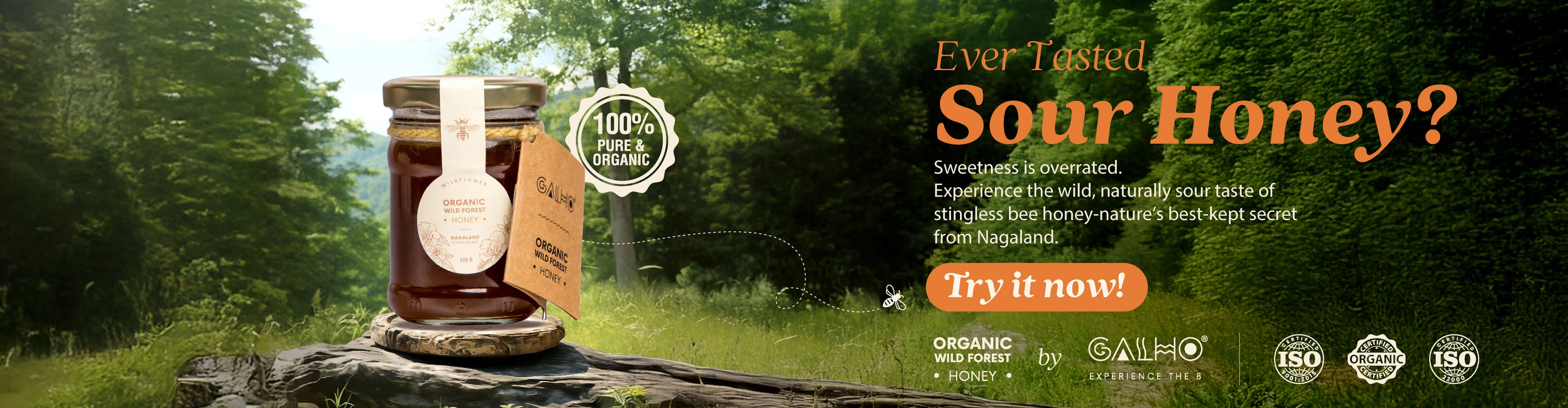 Honey | Organic Wild Forest Honey (Wildflower) - Stingless Bee Honey - Nagaland - 100% Pure &amp; Natural - Galho - 120gm