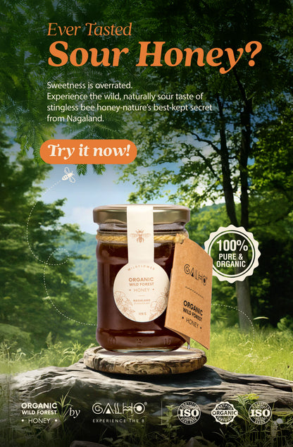 Honey | Organic Wild Forest Honey (Wildflower) - Stingless Bee Honey - Nagaland - 100% Pure &amp; Natural - Galho - 120gm