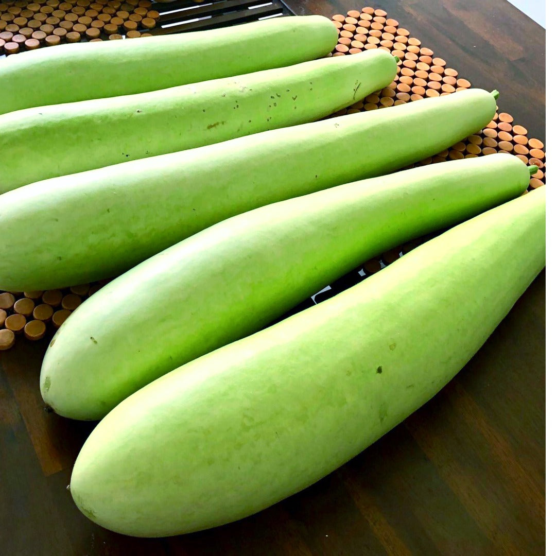 Ghiya | Bottle Gourd (Sonipat) - Low In Calories &amp; Rich In Vitamin C, Vitamin K, Vitamin E &amp; Vitamin B - Certified Organic