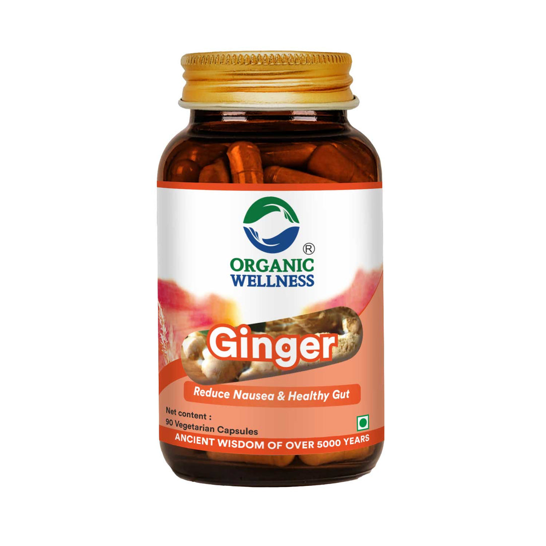 Ginger -Immune Strengthener, Stomach comfort Relief -No Artificial Additives- Organic Wellness - 90 Vegetarian Capsules
