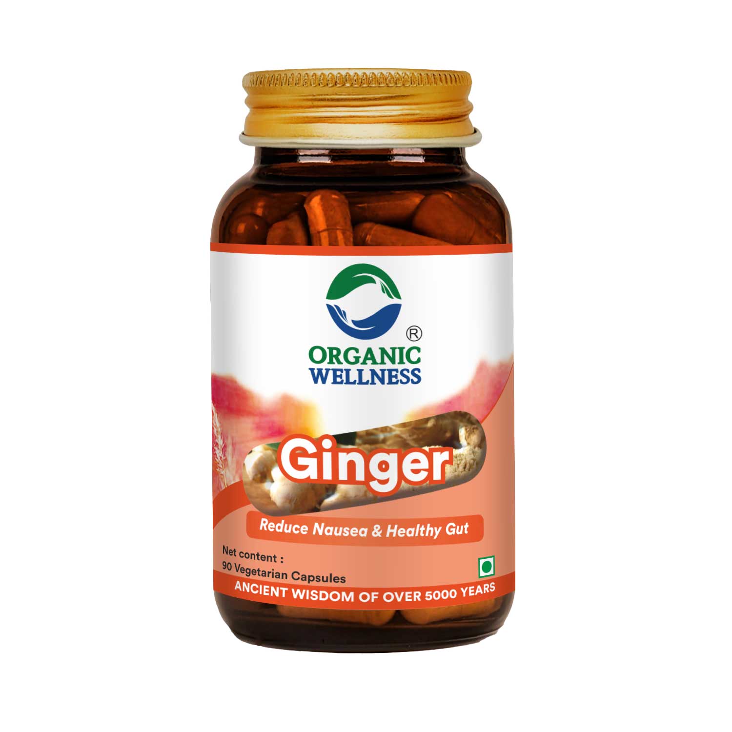Ginger -Immune Strengthener, Stomach comfort Relief -No Artificial Additives- Organic Wellness - 90 Vegetarian Capsules