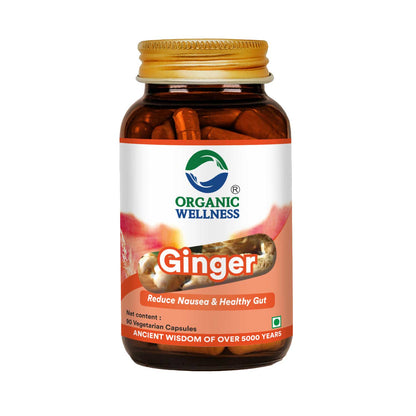 Ginger -Immune Strengthener, Stomach comfort Relief -No Artificial Additives- Organic Wellness - 90 Vegetarian Capsules