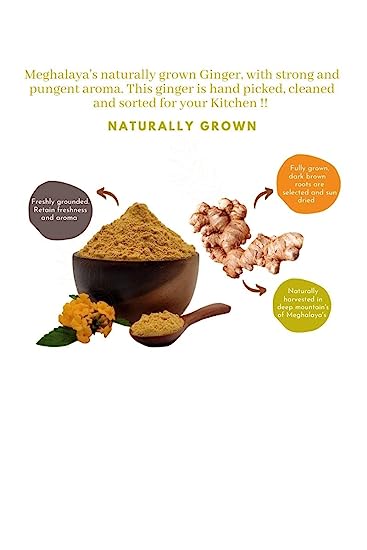 Ginger Powder | (Meghalaya) - Organically Grown - Gluten Free, No Gmo &amp;amp; Preservatives Free - Yogik Roots - 100gm