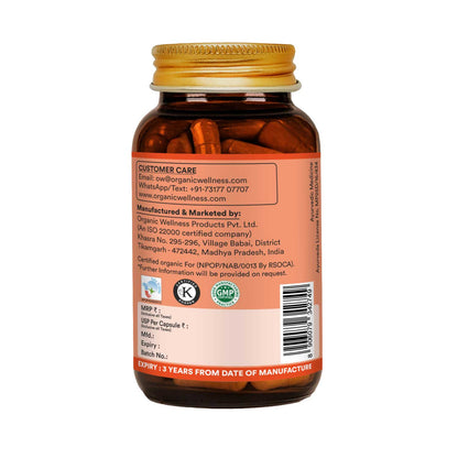 Ginger -Immune Strengthener, Stomach comfort Relief -No Artificial Additives- Organic Wellness - 90 Vegetarian Capsules