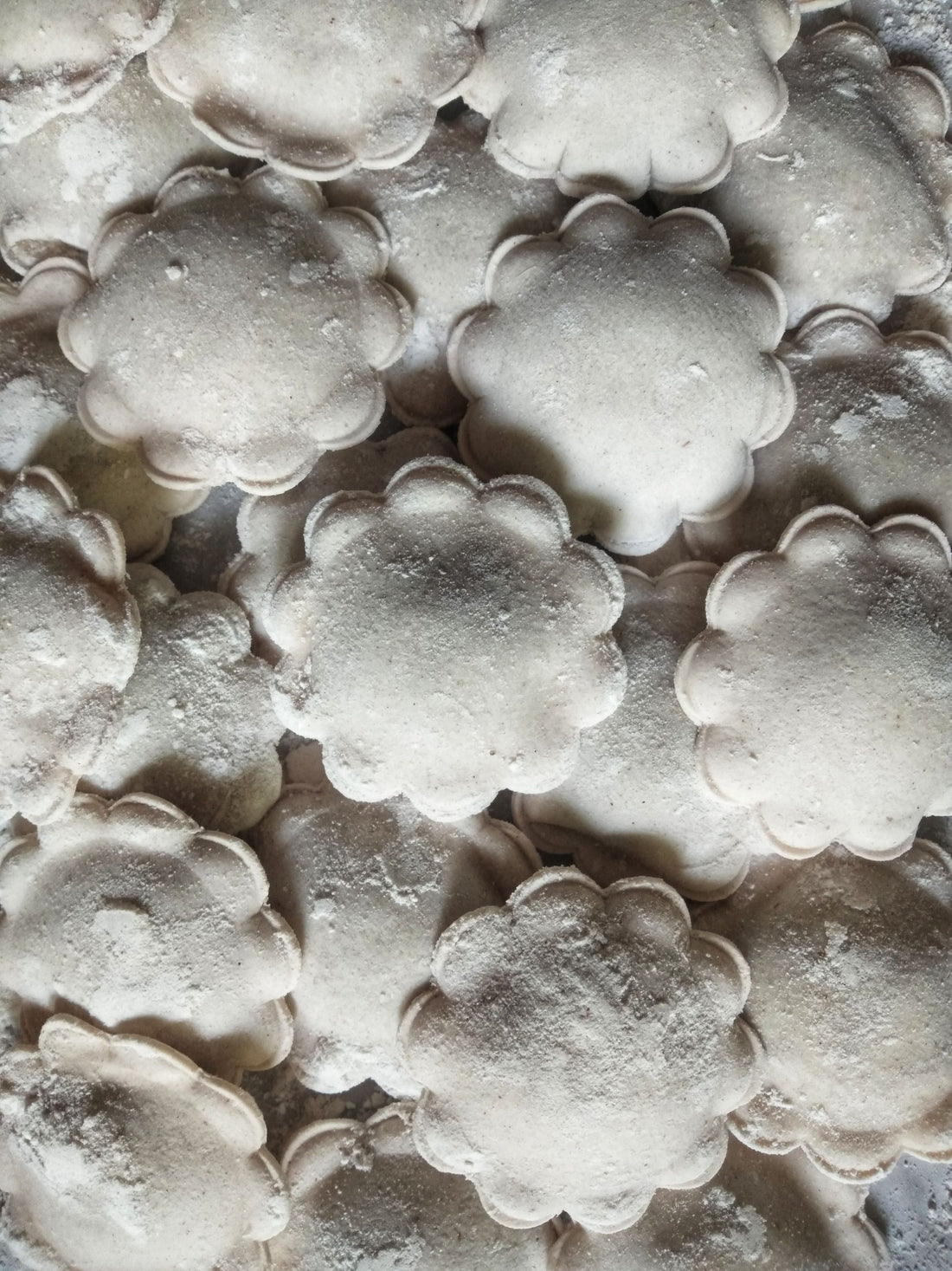 Pasta | Mushroom Ravioli - Hand Made - Vegan & Gluten Free - Nature&