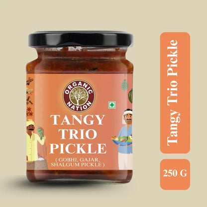 Pickle | Gobhi Gajar Shalgam Mix Pickle - Tangy Trio Pickle - Homestyle Indian Pickle - Authentic Traditional Taste - No Added Preservatives &amp; No Artificial Colours And Flavours - Organic Nation - 250gm