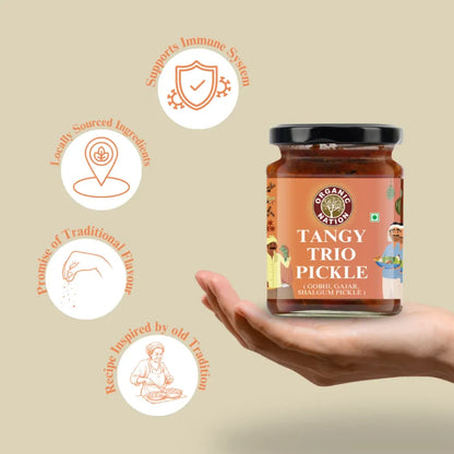 Pickle | Gobhi Gajar Shalgam Mix Pickle - Tangy Trio Pickle - Homestyle Indian Pickle - Authentic Traditional Taste - No Added Preservatives &amp; No Artificial Colours And Flavours - Organic Nation - 250gm