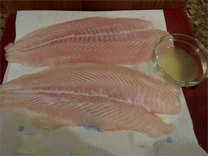 Fish | Grouper fillet -Tuticorn Region – Frozen Fish -Premium Seafood– No Antibiotics  Seafood And Hormone Free-Nature&