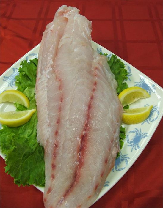 Fish | Grouper fillet -Tuticorn Region – Frozen Fish -Premium Seafood– No Antibiotics  Seafood And Hormone Free-Nature&